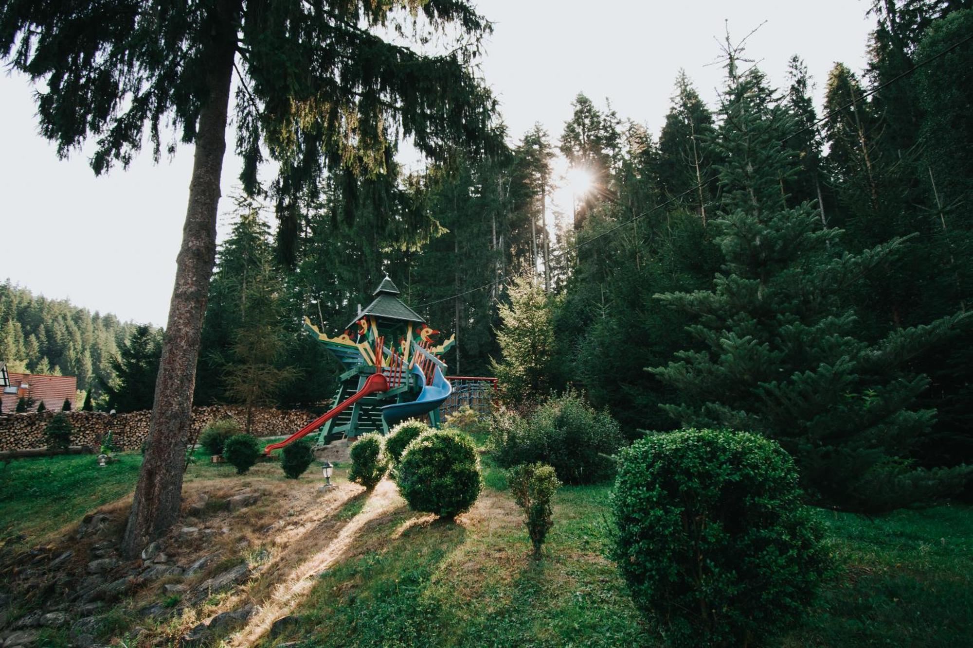 فندق Vidra Park Sicasău المظهر الخارجي الصورة