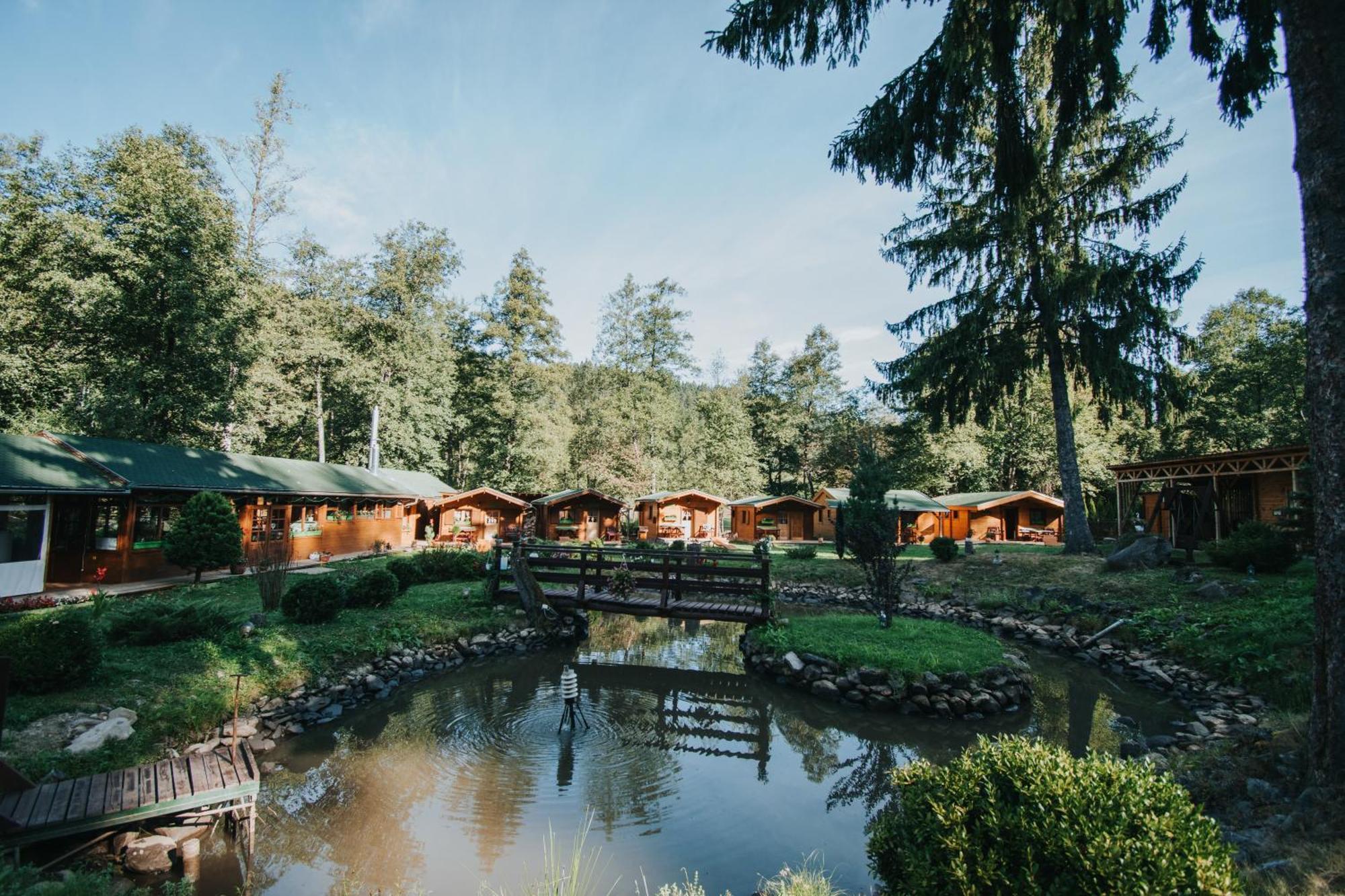 فندق Vidra Park Sicasău المظهر الخارجي الصورة