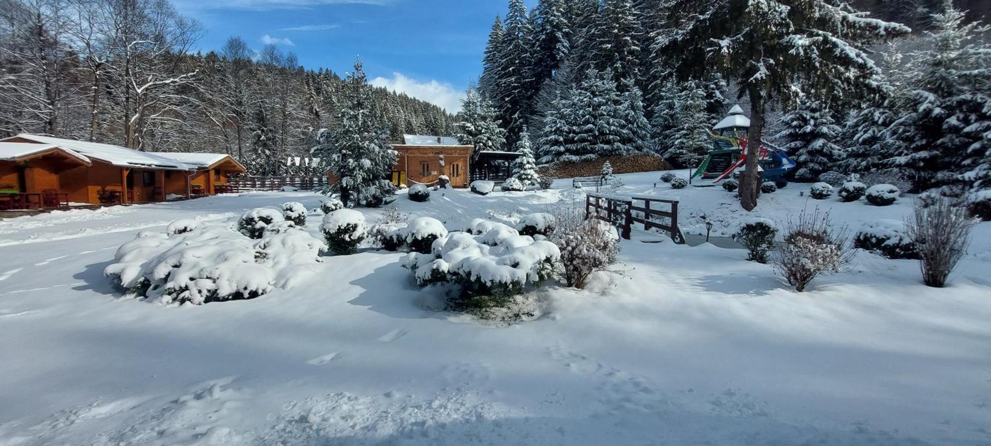 فندق Vidra Park Sicasău المظهر الخارجي الصورة