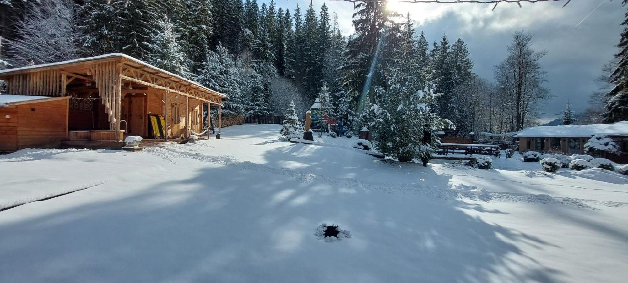فندق Vidra Park Sicasău المظهر الخارجي الصورة